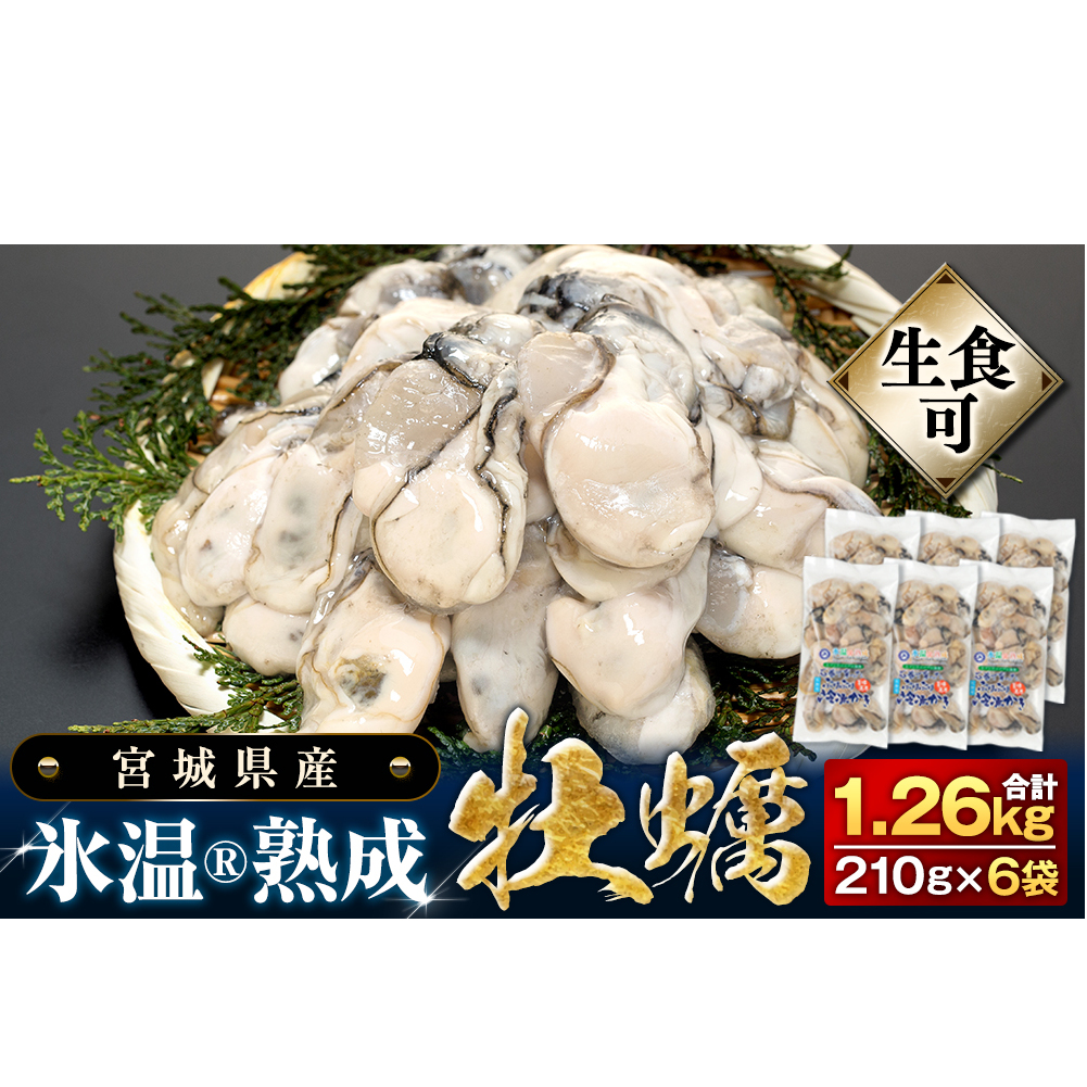 牡蠣 [生食用]210g×6袋 (約1.2kg) 氷温熟成 冷凍牡蠣 生食用 宮城県産 |生食 生で食べられる 牡蠣 小分け 冷凍かき 冷凍カキ 冷凍牡蠣 かきむき身 カキむき身 牡蠣むき身 生かき 生カキ 生牡蠣 冷凍かき 冷凍カキ 冷凍牡蠣 かきむき身 カキむき身 牡蠣むき身 生カキ 牡蠣