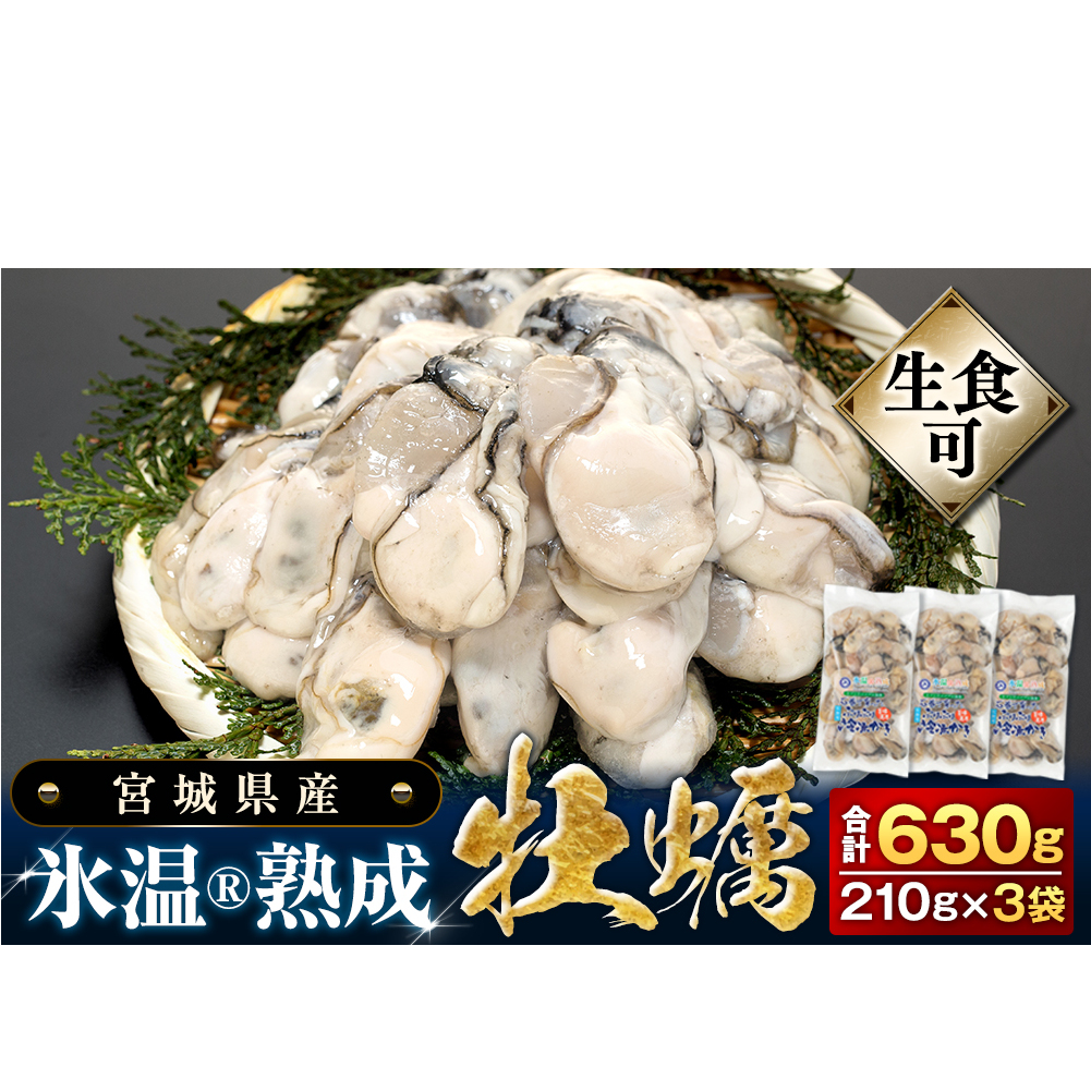 牡蠣 [生食用] 氷温熟成 冷凍牡蠣 生食用 210g×3袋 (630g) 宮城県産氷温熟成 冷凍牡蠣 生食用 宮城県産 | 生で食べられる 牡蠣 小分け 冷凍かき 冷凍カキ 冷凍牡蠣 かきむき身 カキむき身 牡蠣むき身 生かき 生カキ 生牡蠣 冷凍かき 冷凍カキ 冷凍牡蠣 かきむき身