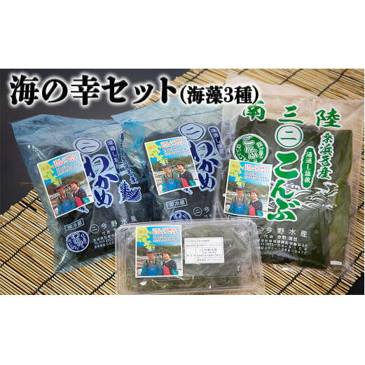 塩蔵わかめ　宮城県石巻産 塩蔵わかめ 100g／量売り | 海遊ショップオンライン