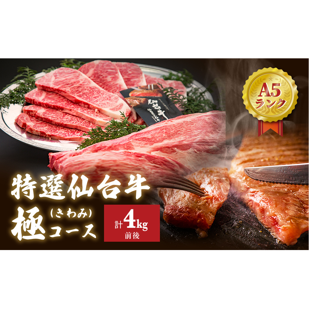 特選 仙台牛 “極” 合計4kg前後 フィレ シャトーブリアン サーロインステーキ 霜降りA5 B5 和牛 黒毛和牛 父の日 宮城県 石巻市