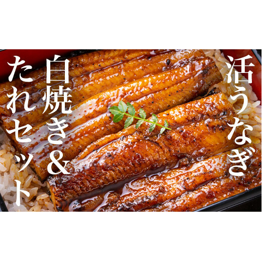 うなぎ 鰻 白焼き鰻 お店の味を楽しめる 国産うなぎセット (うな重3人前:約330g)国産鰻 鰻蒲焼 うなぎ蒲焼 ウナギ蒲焼 鰻たれ うなぎたれ ウナギたれ 鰻重 ウナ重 活鰻 活うなぎ 活ウナギ 父の日
