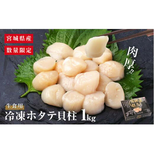 [先行予約]ホタテ貝柱 1kg [数量限定] 宮城県産 ほたて 貝柱 生食用 冷凍 農産品厚 帆立 貝柱 生食 海鮮 魚介類 貝類 海鮮丼 生 刺身 お寿司 お刺身 おつまみ おかず ほたて貝柱 むき身 つまみ 1キロ 新鮮 お取り寄せ グルメ 剥き身 バラ冷凍 送料無料 宮城県 石巻市