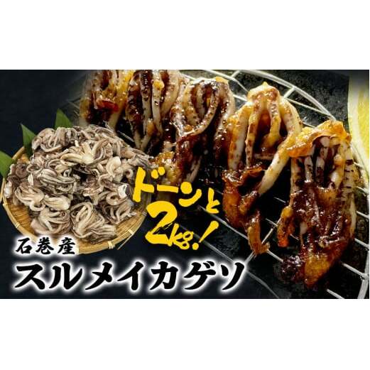 [ 訳あり ]スルメイカ ゲソ 石巻産 (2kg) 宮城県産 冷凍 国産 下足 イカ イカゲソ 唐揚げ いかげそ おつまみ 魚介類 焼イカ バーベキュー BBQ わけあり 不揃い 烏賊 炒め物 フライ ゲソ天 唐揚げ イカゲソ2kg 宮城県 石巻市