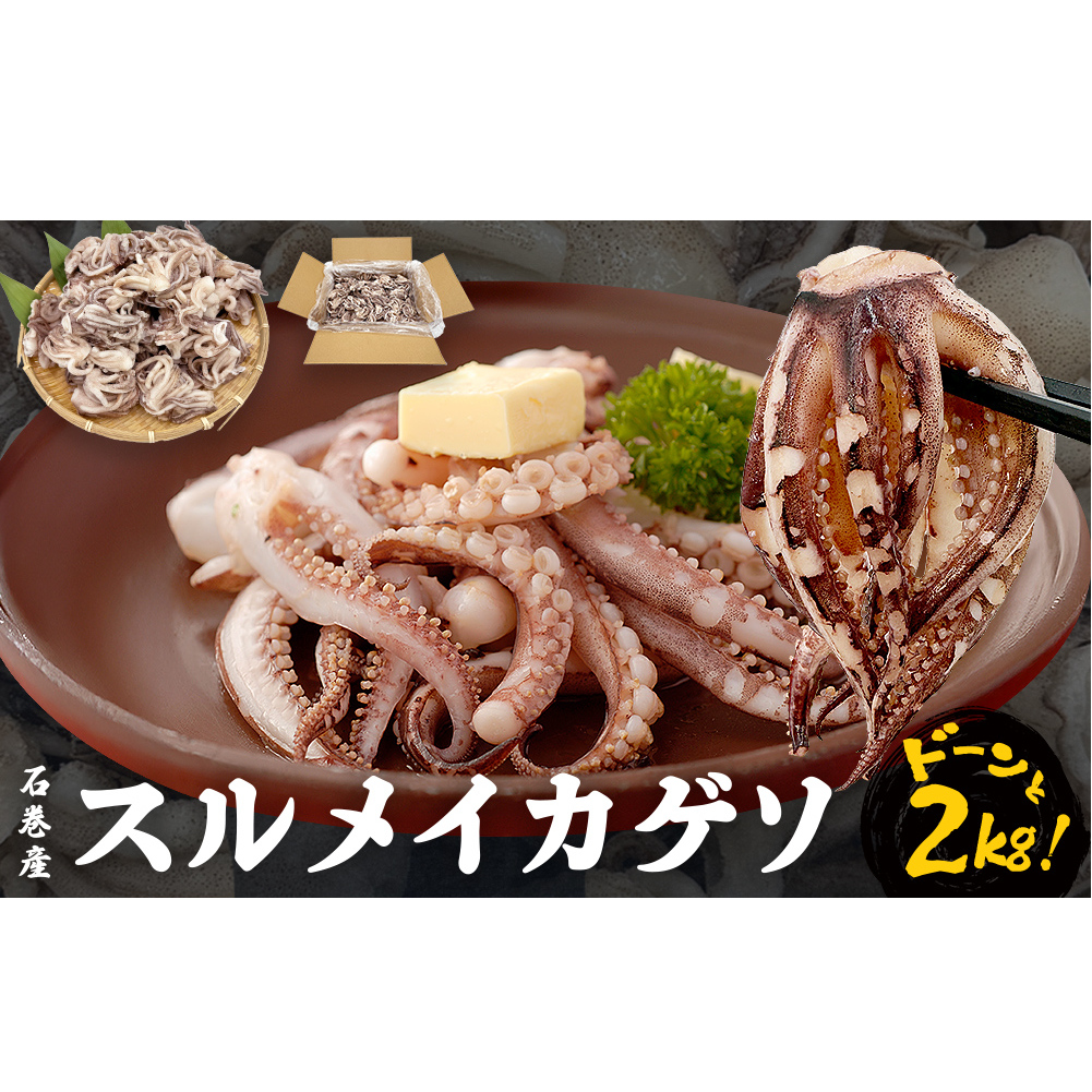 〈 訳あり 〉スルメイカ ゲソ 石巻産 (2kg)  宮城県産 冷凍 国産 下足 イカ イカゲソ 唐揚げ いかげそ おつまみ 魚介類 焼イカ バーベキュー BBQ わけあり 不揃い 烏賊 炒め物 フライ ゲソ天 唐揚げ イカゲソ2kg 宮城県 石巻市
