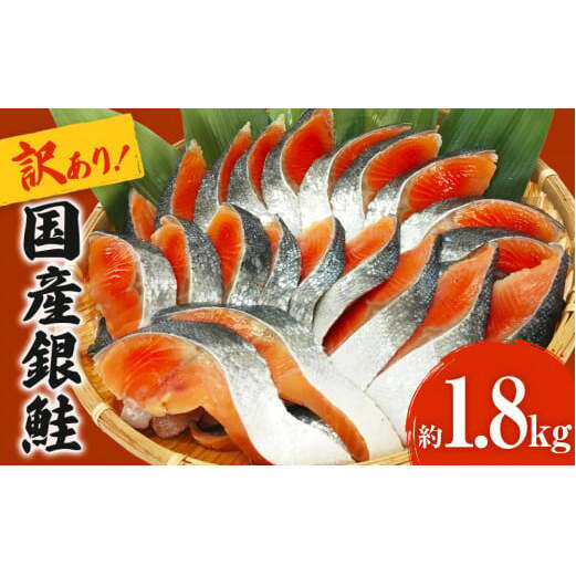 国産 銀鮭 1.8kg 定塩 切身| 冷凍 鮭 サーモン 鮭 銀鮭 国産 鮭切身 1.8kg 冷凍 不揃い ご家庭用 サーモン 塩鮭 しゃけ シャケ 焼き魚 宮城県 石巻市 数量限定 魚介類 魚 海産物 さけ 焼魚 おかず おつまみ