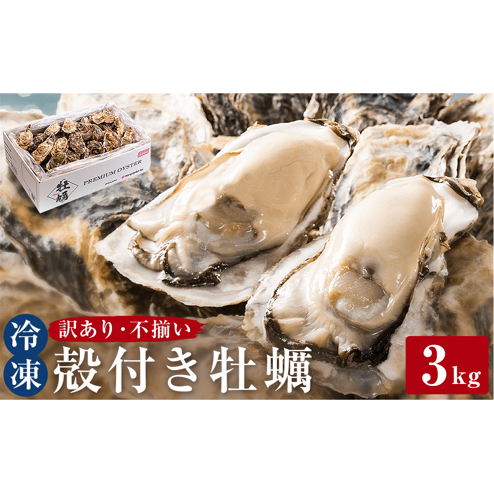 [訳あり・不揃い] 牡蠣 冷凍 殻付き 牡蠣 3kg 三陸産 不揃い カキ かき 加熱用 カンカン焼き ガンガン焼き 蒸し牡蠣 カキ 真牡蠣 BBQ 浜焼き バーベキュー 新鮮 海鮮 魚介 国産 取り寄せ グルメ 急速冷凍 宮城 石巻 宮城県 石巻市 送料無料