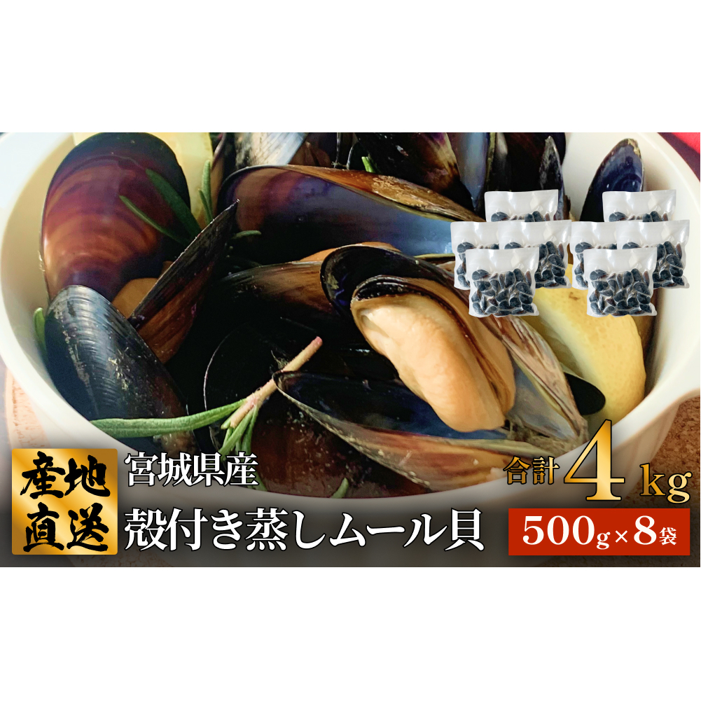 宮城県 三陸産 殻付き蒸しムール貝 4kg 石巻市 冷凍 個包装 味噌汁 リゾット 産地直送