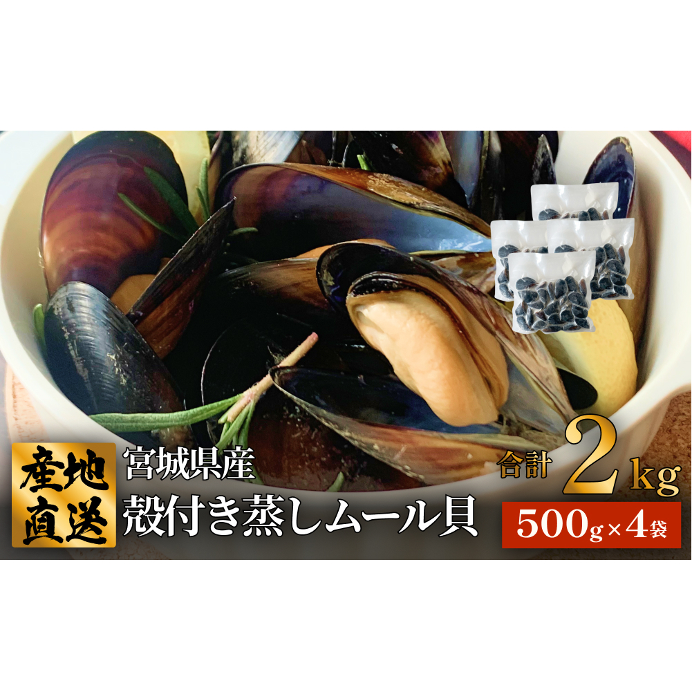 宮城県 三陸産 殻付き蒸しムール貝 2kg 石巻市 冷凍 個包装 味噌汁 リゾット 産地直送