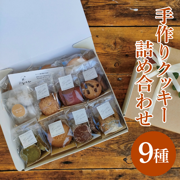 手作りクッキー 9種詰め合わせ(11点入)│ 焼き菓子 クッキー セット(BG004)