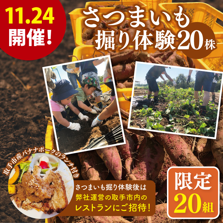 【20組限定！】11/24開催！　さつまいも掘り体験と取手市内レストランで味わう取手市産バナナポークのランチ（AS011）