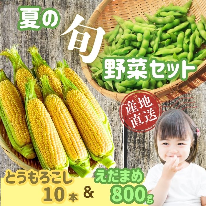 [先行予約]木内ファーム 夏の旬野菜(とうもろこし・枝豆)セット(2025年7月下旬より発送) (7-A14)
