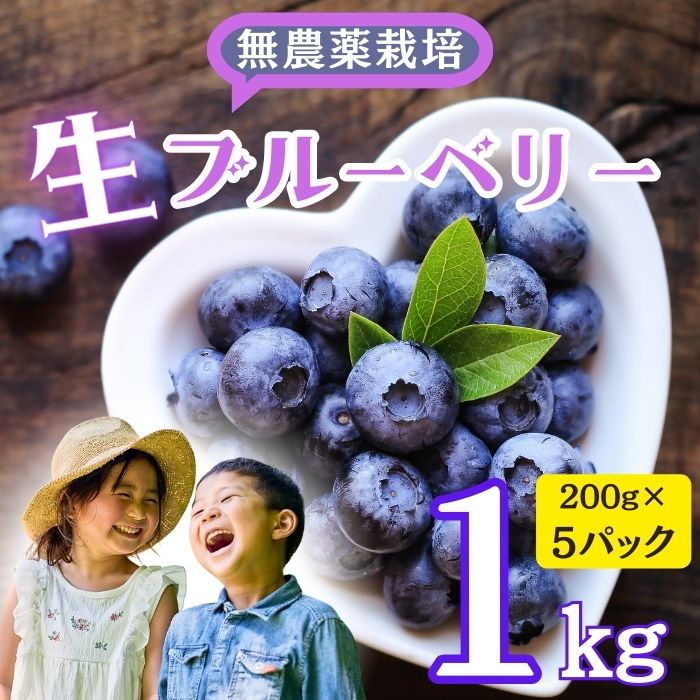 [先行予約]無農薬 完熟ブルーベリー姫[生]1kg(2025年7月より発送) (7-A15)