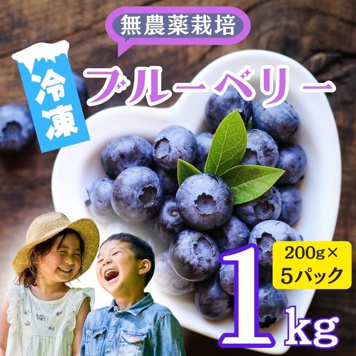 [先行予約]無農薬 完熟ブルーベリー姫[冷凍]1kg(2025年7月より発送) (7-A16)