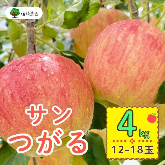 【先行予約】サンつがる【約4kg (12−18玉)】(7-A19-2)