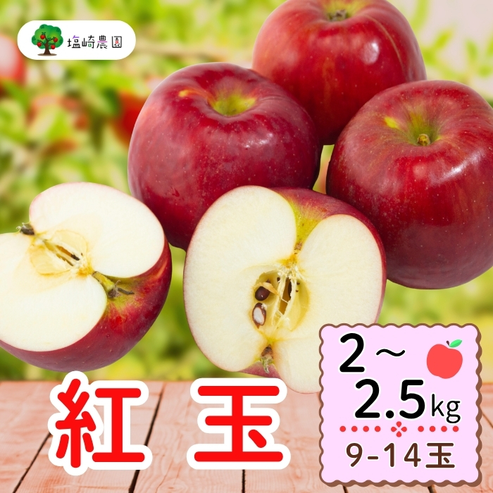 【先行予約】紅玉（こうぎょく）約2-2.5kg（9-14玉）（7-A22）