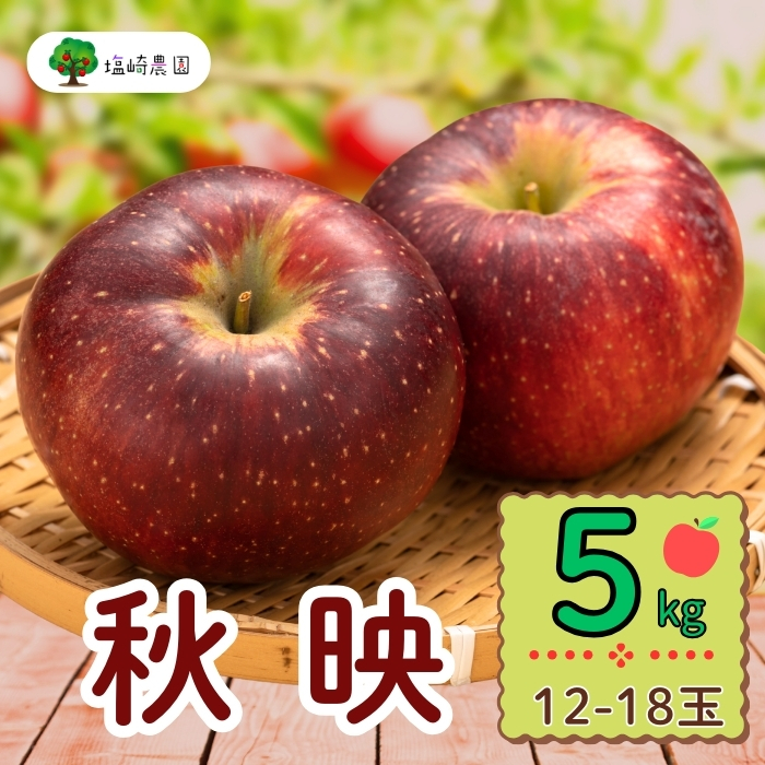 【先行予約】秋映（あきばえ）約5kg（12-18玉）（7-A23-２）