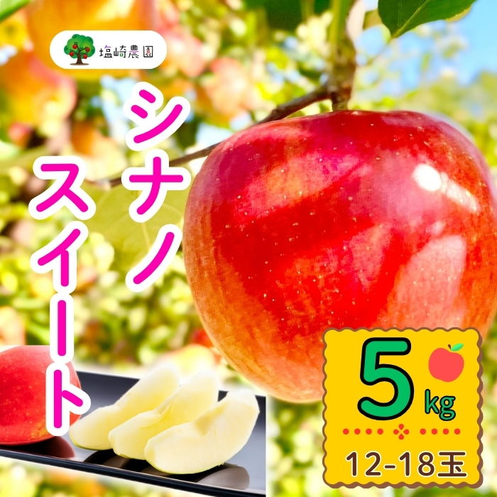 【先行予約】シナノスイート　約5kg（12-18玉）（7-A24-2）