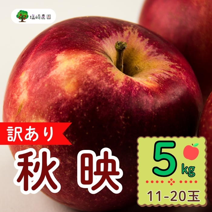 【先行予約】【訳あり】秋映（あきばえ）約5kg（11-20玉） 規格外（7-A26-2）