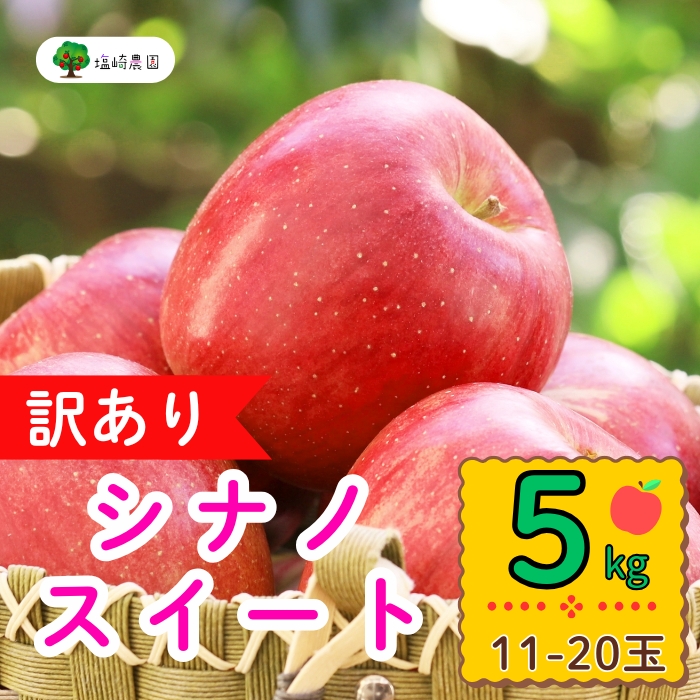 【先行予約】【訳あり】シナノスイート　約5kg（11-20玉）（7-A27-2）