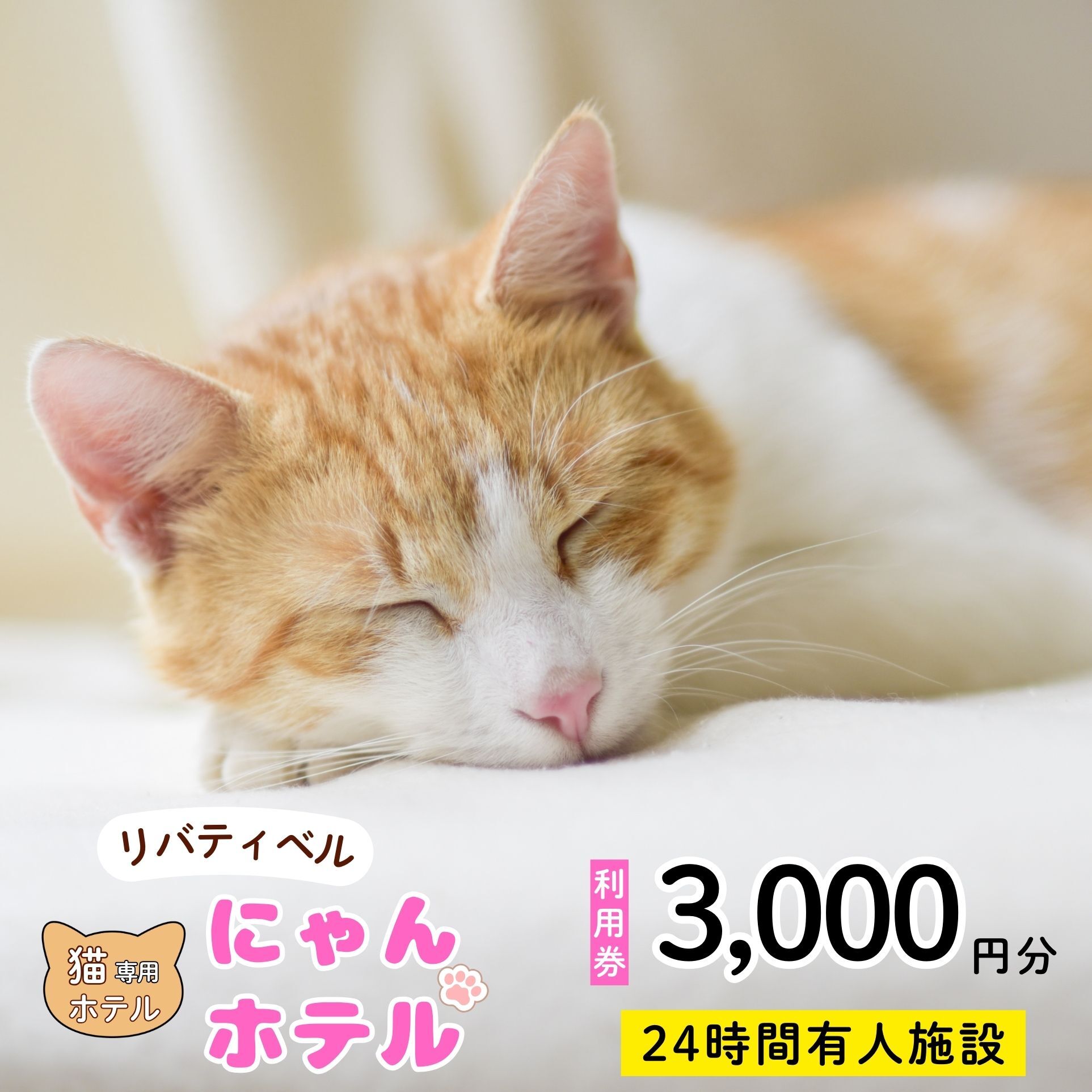 【長野県飯山市】にゃんほてる(猫専用ペットホテル) リベティベル 利用券3,000円分(T-17)