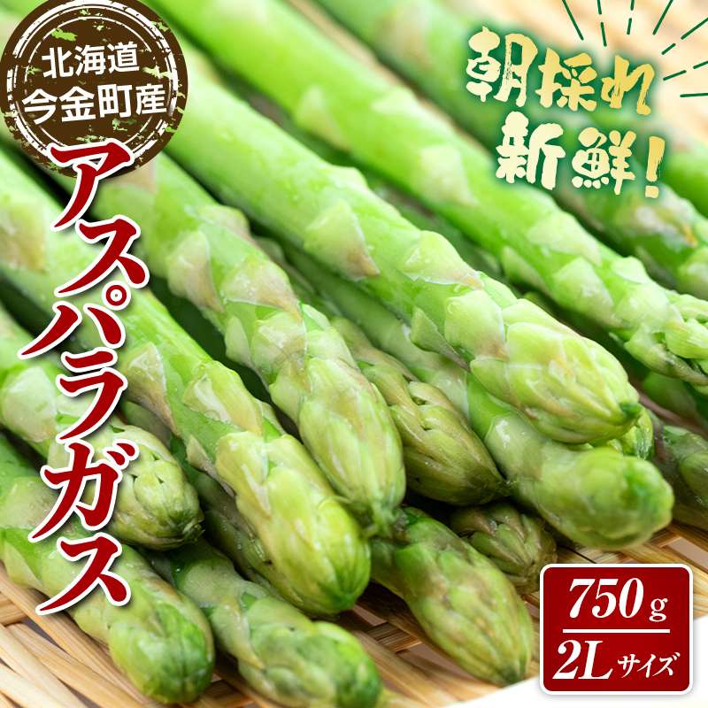 【先行予約】朝採れ新鮮アスパラ 750g(2Lサイズ) (2026年3月下旬~6月中旬または2026年7月上旬~9月上旬頃発送) 野菜 秀品 北海道産 バーベキュー BBQ キャンプ 旬野菜 アスパラガス 栄養満点 冷蔵発送 F21W-459