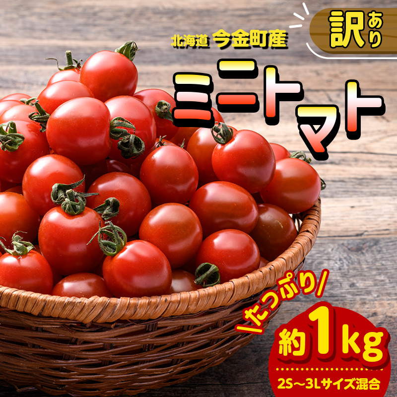 【訳あり】ミニトマト 約1kg (2S～3Lサイズ混合) トマト フルーツトマト 産地直送 甘いトマト 熟成トマト F21W-491