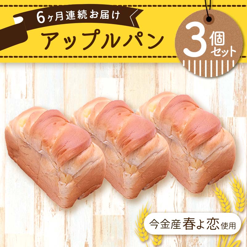 【6ヶ月連続お届け】今金産春よ恋使用!アップルパン3個セット F21W-470