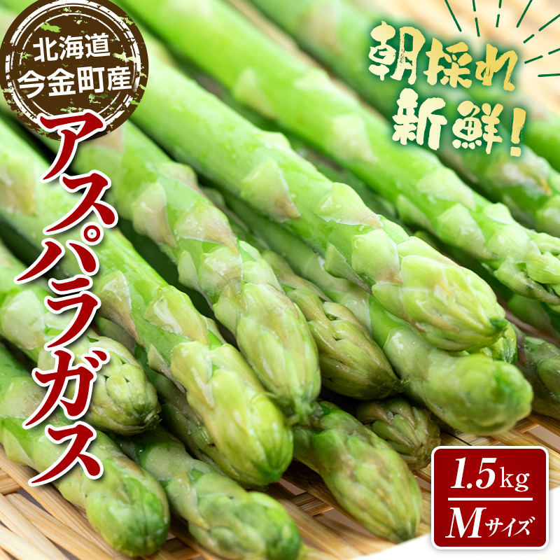 【先行予約】朝採れ新鮮アスパラ 1.5kg(Mサイズ) (2026年3月下旬~6月中旬または2026年7月上旬~9月上旬頃発送) 野菜 秀品 北海道産 バーベキュー BBQ キャンプ 旬野菜 アスパラガス 栄養満点 冷蔵発送 F21W-454