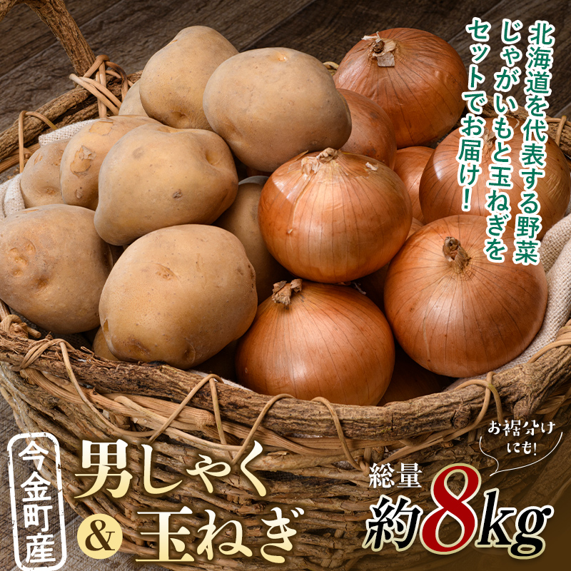 【先行予約】 2種計約8kg!今金町産男しゃく約4kg・今金町産玉ねぎ約4kg 北海道産 男爵 じゃがいも ジャガイモ ほくほく しっとり たまねぎ 玉ねぎ 野菜 常備野菜 セット 詰め合わせ F21W-397