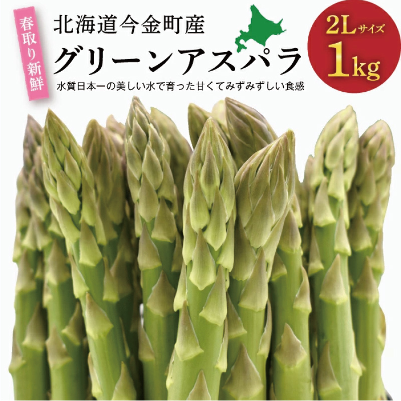 【先行予約】北海道今金町産 春取り新鮮グリーンアスパラ2Lサイズ1kg(2025年4月上旬~5月上旬発送) 新鮮 野菜 アスパラ アスパラガス グリーンアスパラ 北海道 2L F21W-169