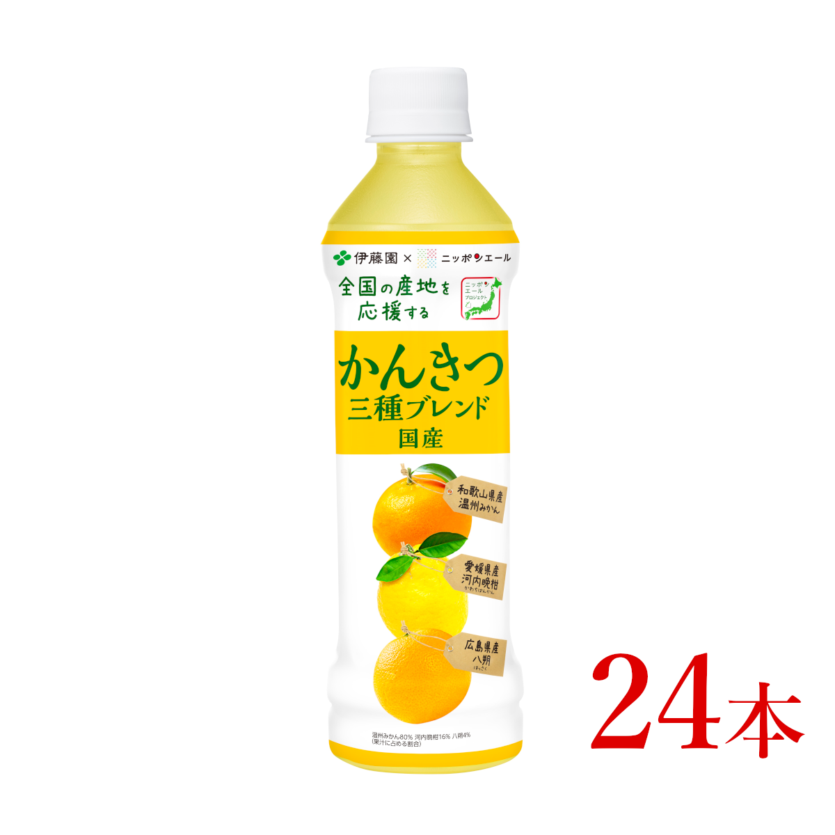 伊藤園 ニッポンエール 国産かんきつ三種ブレンド「400g×24本」