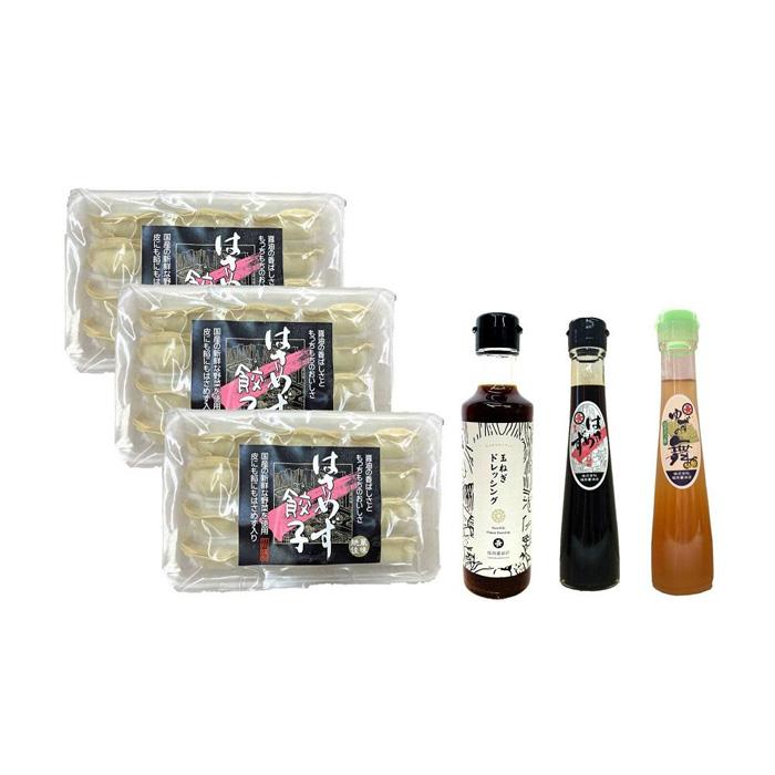 はさめず餃子セット