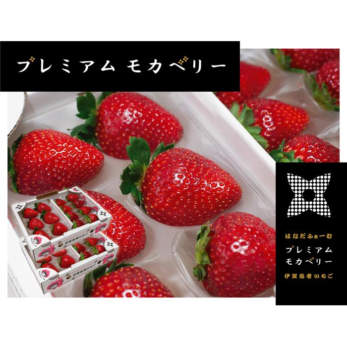 伊賀忍者いちご プレミアムモカベリー 4パックセット(約270g×4)