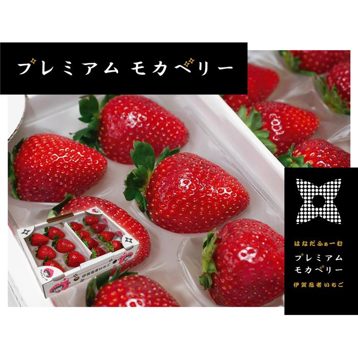 伊賀忍者いちご プレミアムモカベリー 2パックセット(約270g×2)