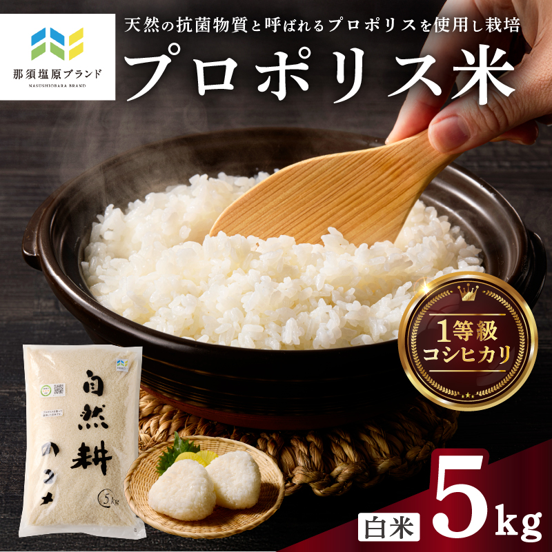 [那須塩原ブランド認定品]プロポリス米(1等級コシヒカリ 白米5kg)[令和7年度産米] ns063-002