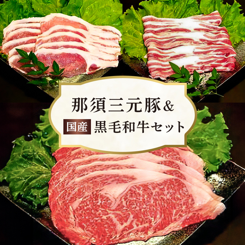 那須三元豚&国産黒毛和牛セット[ 豚肉 牛肉 栃木県 那須塩原市 ] ns007-010