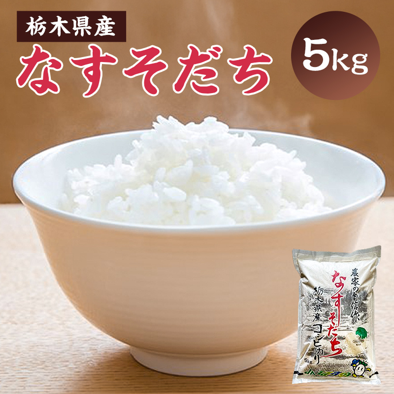 [大田原市・那須塩原市・那須町共通返礼品][米]令和6年産 栃木県産 コシヒカリ なすそだち 5kg JAなすの産地直送 ns005-002-5