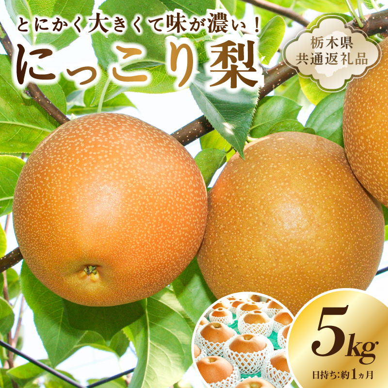 [栃木県共通返礼品] JAなすの産 梨 にっこり 5kg ns096-001