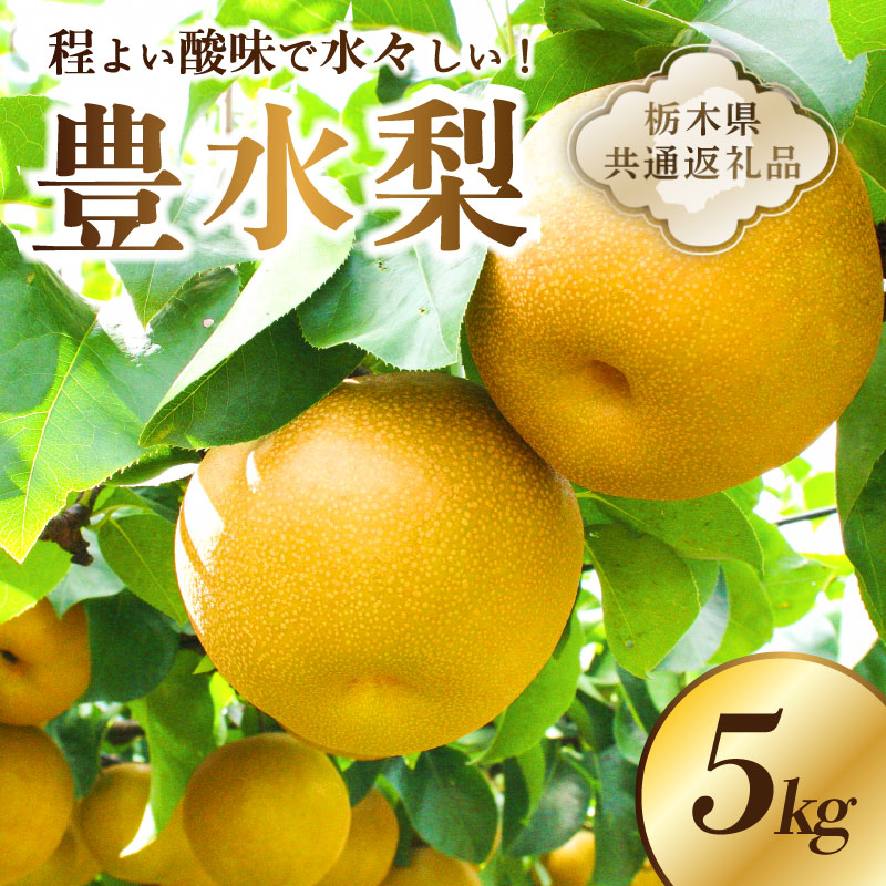 [栃木県共通返礼品] JAなすの産 梨 豊水 5kg ns096-002