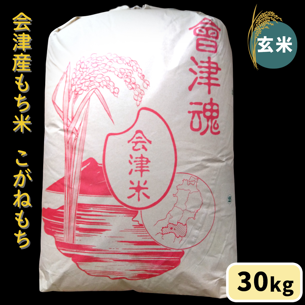 会津産もち米「こがねもち」【玄米】30kg｜令和7年産 2025年産 会津若松市 もちごめ 餅米 米 新米 [1042]