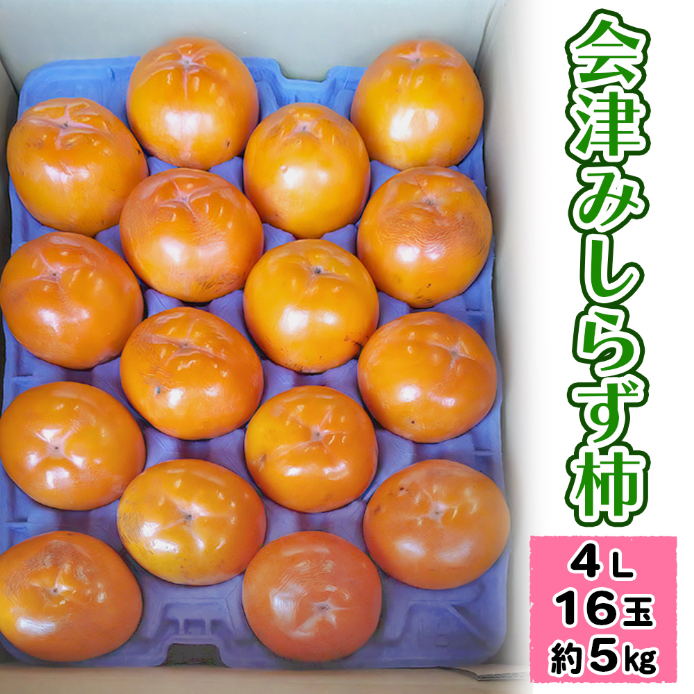 会津みしらず柿 4Lサイズ16玉 (約5kg) 会津若松市御山産 小山柿農園｜2025年産 令和7年産 みしらず柿 身しらず柿 種無し 柿 かき カキ フルーツ 果物 旬の果物 産直 会津産 数量限定 [1027]