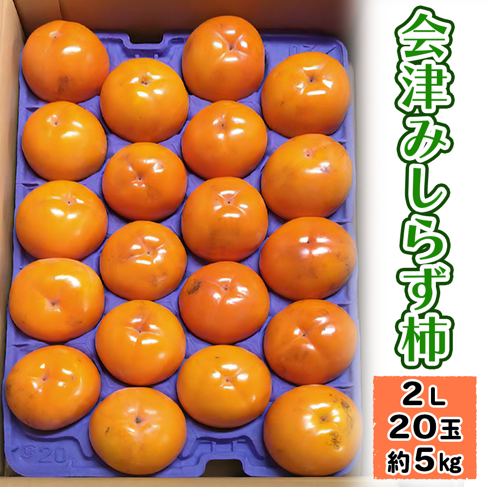 会津みしらず柿 2Lサイズ 20玉 (約5kg) 会津若松市御山産 小山柿農園 ｜2025年産 令和7年産 みしらず柿 身しらず柿 種無し 柿 かき カキ フルーツ 果物 旬の果物 産直 会津産 数量限定 [1028]