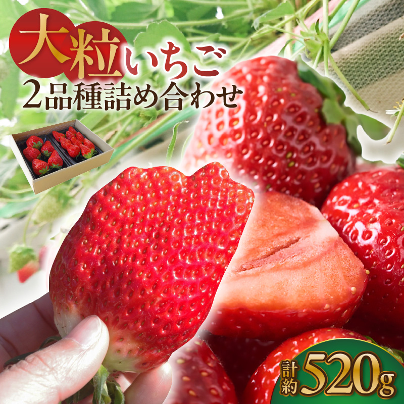 大粒いちご2品種詰め合わせ 260g×2パック