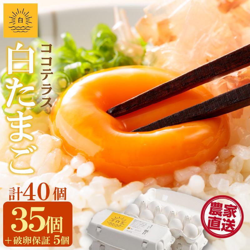ココテラスの朝日（白たまご）35個 + 5個保証（計40個）【JGAP認証】