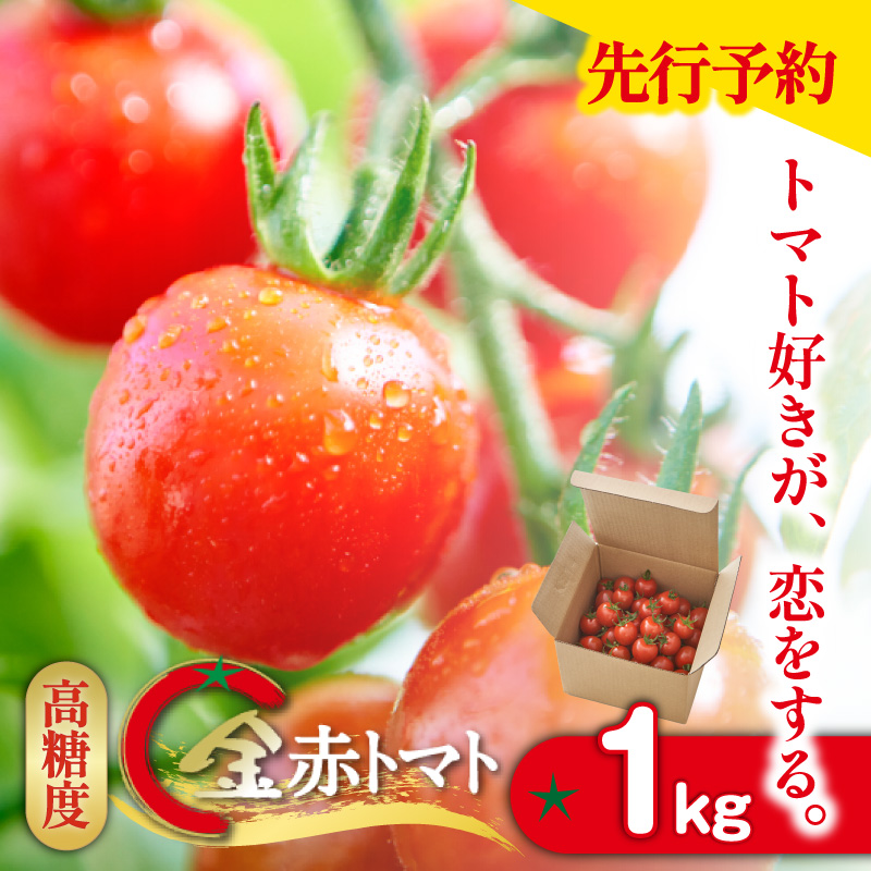 【先行予約】【2025年12月頃から順次発送】トマト好きが、恋をする。　1kg　金赤トマトミニ 野菜 新鮮野菜 夏野菜 旬野菜 生野菜 ミニトマト プチトマト フルーツ トマト 国産 味が濃い 濃厚 高糖度 甘い ビタミンC リコピン お弁当 サラダ マリネ 前菜 お取り寄せ 特産品 愛知県 常滑市