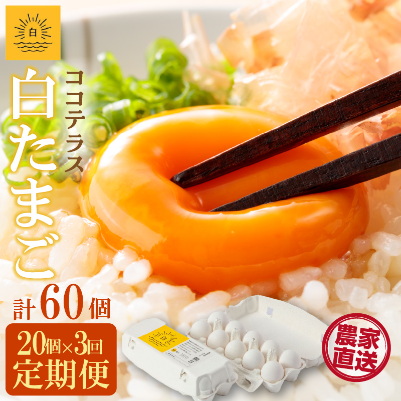 【3ヵ月定期便】ココテラスの朝日(白たまご)15個 + 5個保証(計20個)【JGAP認証】