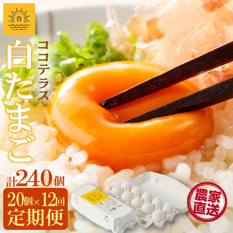 【12ヵ月定期便】ココテラスの朝日(白たまご)15個 + 5個保証(計20個)【JGAP認証】