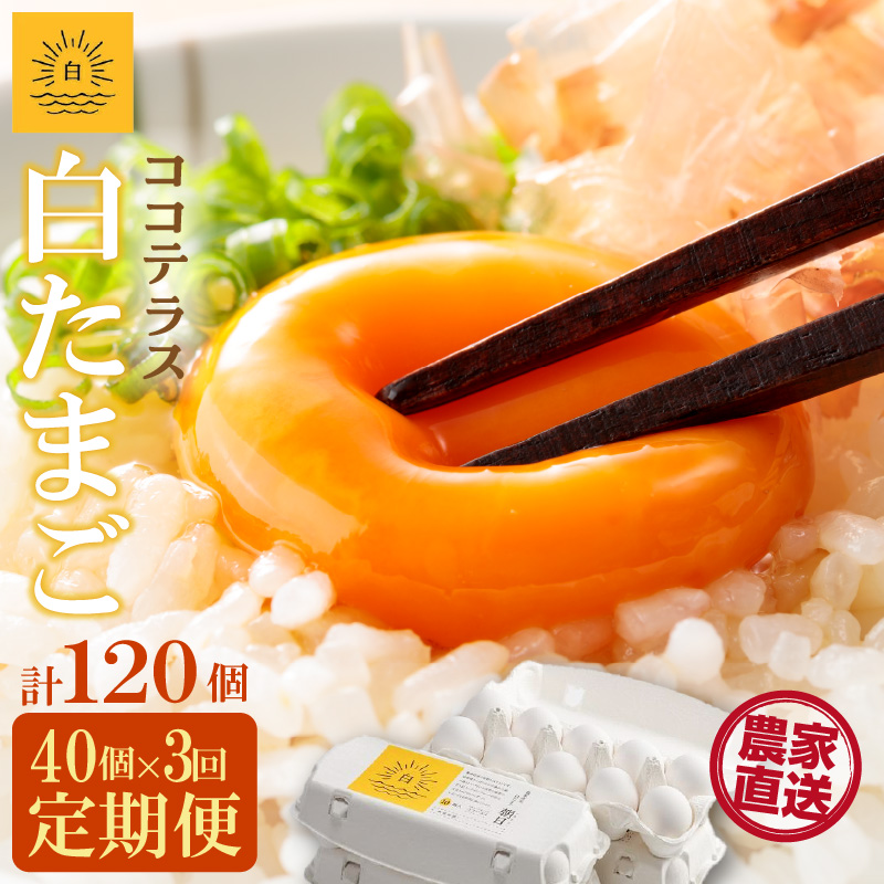 【3ヵ月定期便】ココテラスの朝日(白たまご)35個 + 5個保証(計40個)【JGAP認証】
