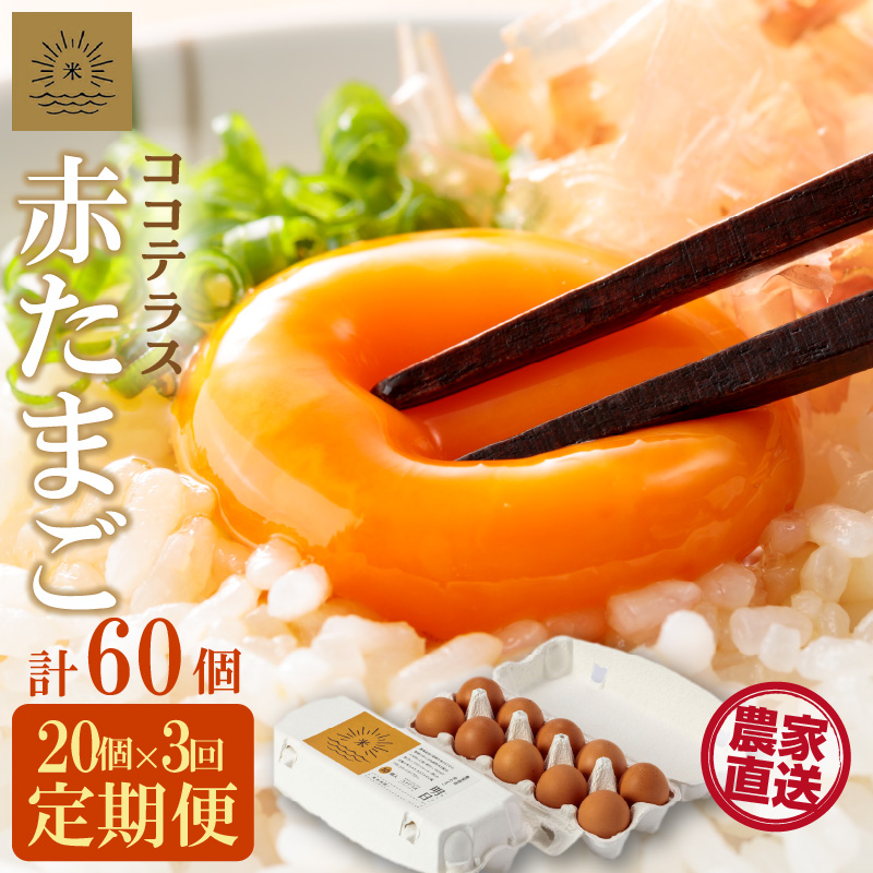 【3ヵ月定期便】ココテラスの明日(赤たまご)15個 + 5個保証(計20個)【JGAP認証】