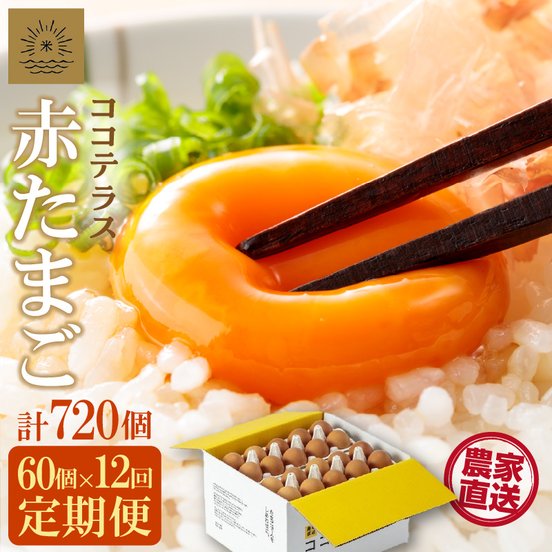 【12ヵ月定期便】ココテラスの明日（赤たまご）55個 + 5個保証（計60個）【JGAP認証】